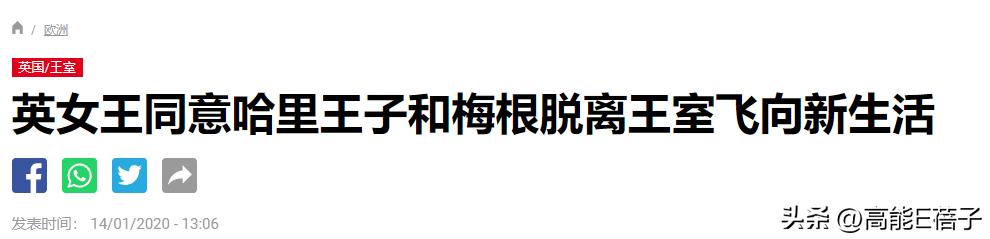 意难忘大结局丽珠离开,意难忘丽珠跟麦克的结局
