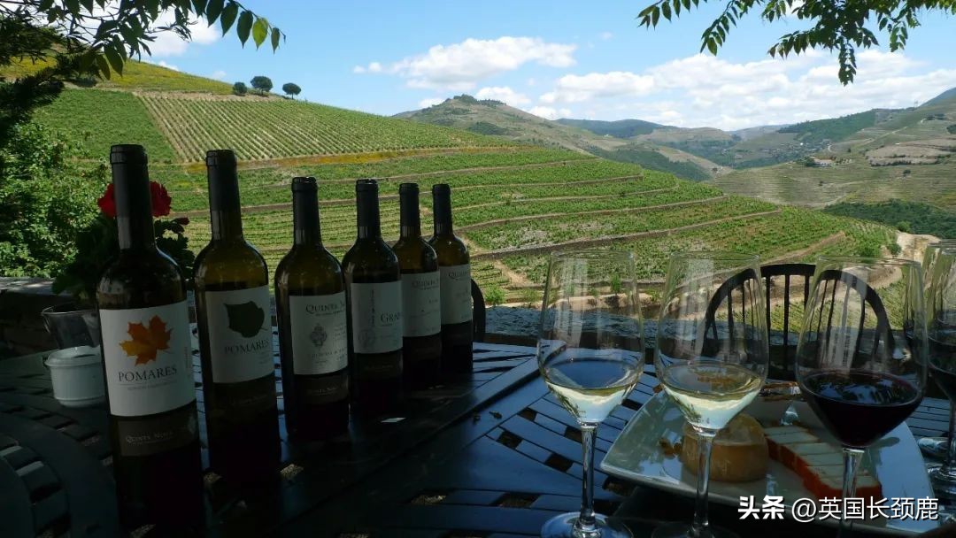 每次买葡萄酒满头问号瞎买？红白葡萄酒大科普：英国好酒推荐