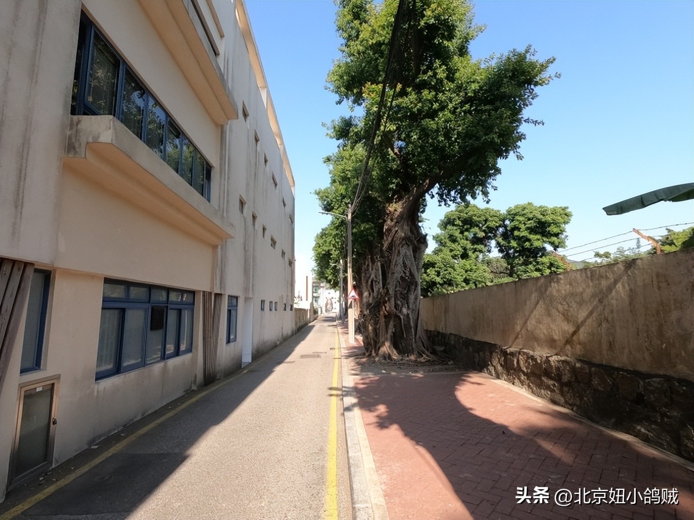 澳门值得去的三个地方 (澳门必去的一条街)