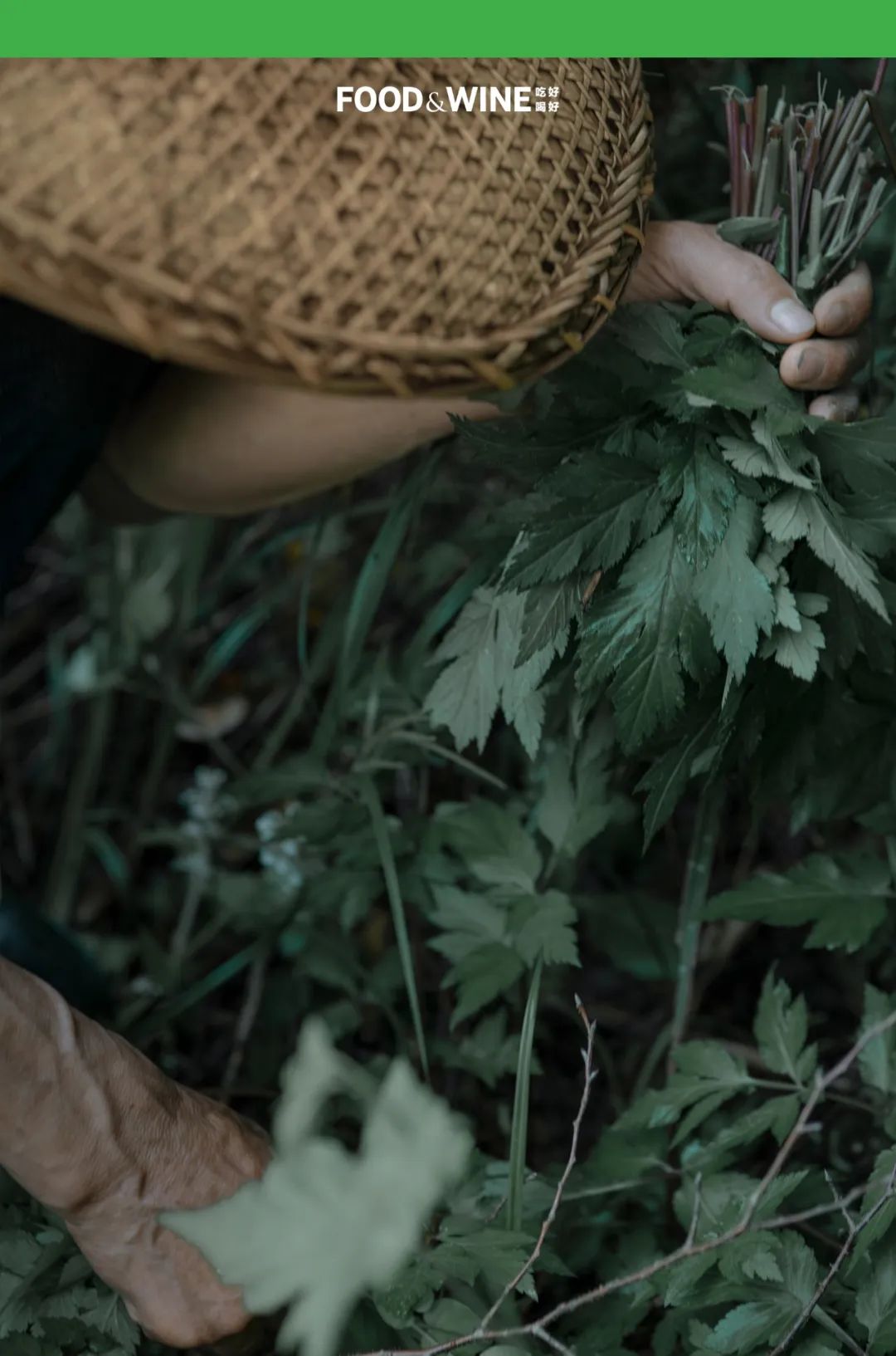 鏅痉闀囧搴欏悆鏂嬮キ,涓囧绂呭鏂嬮キ