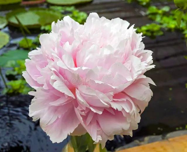 友友们千万别在评论区或私信留言“互”“关”等敏感词，会被扣分