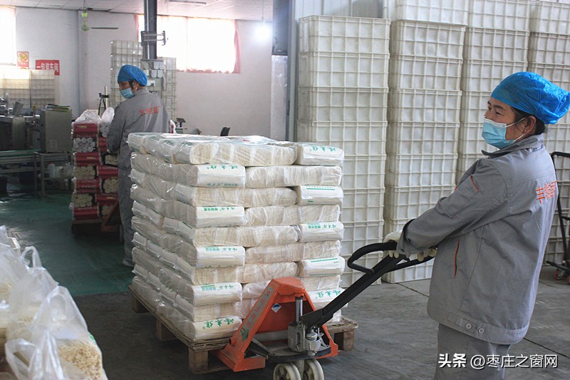 赵文真的挂面厂,赵文真挂面厂