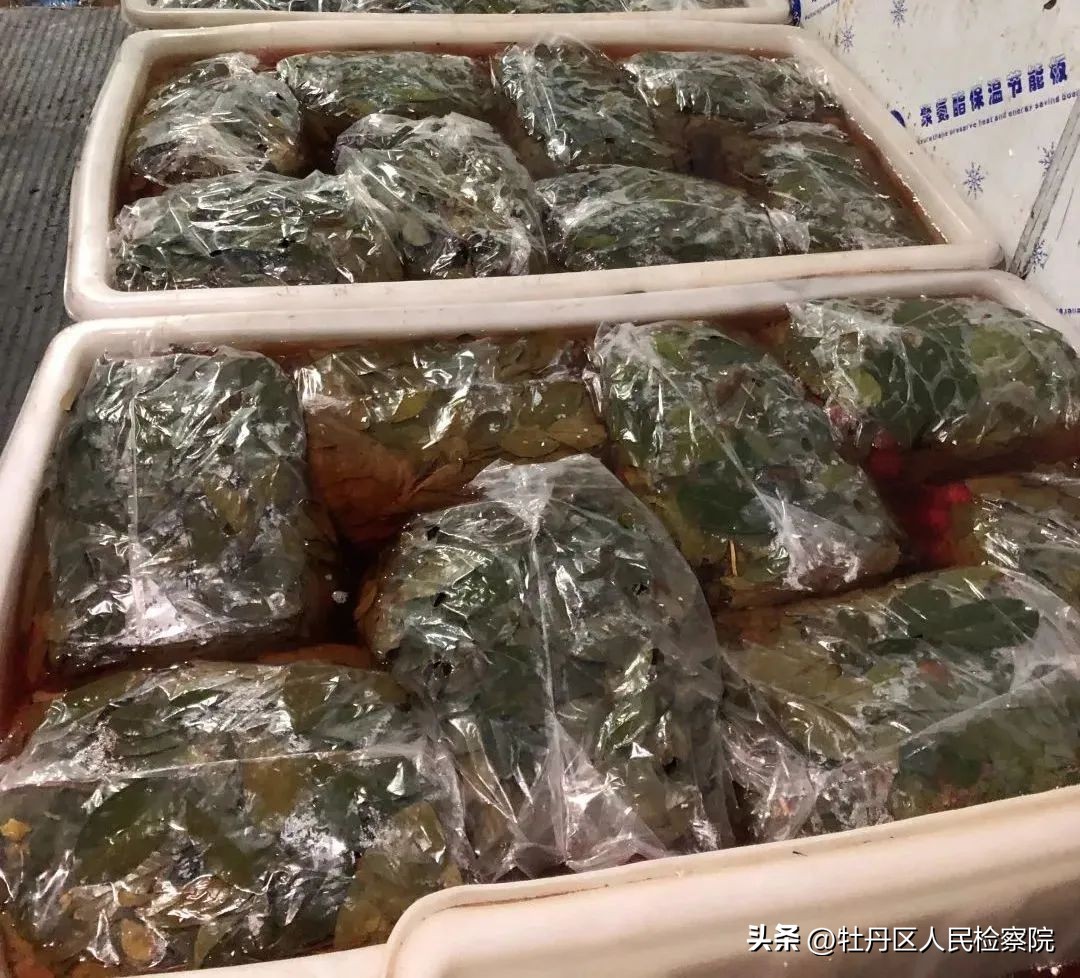 为了找证据，他从国外买水果做实验……