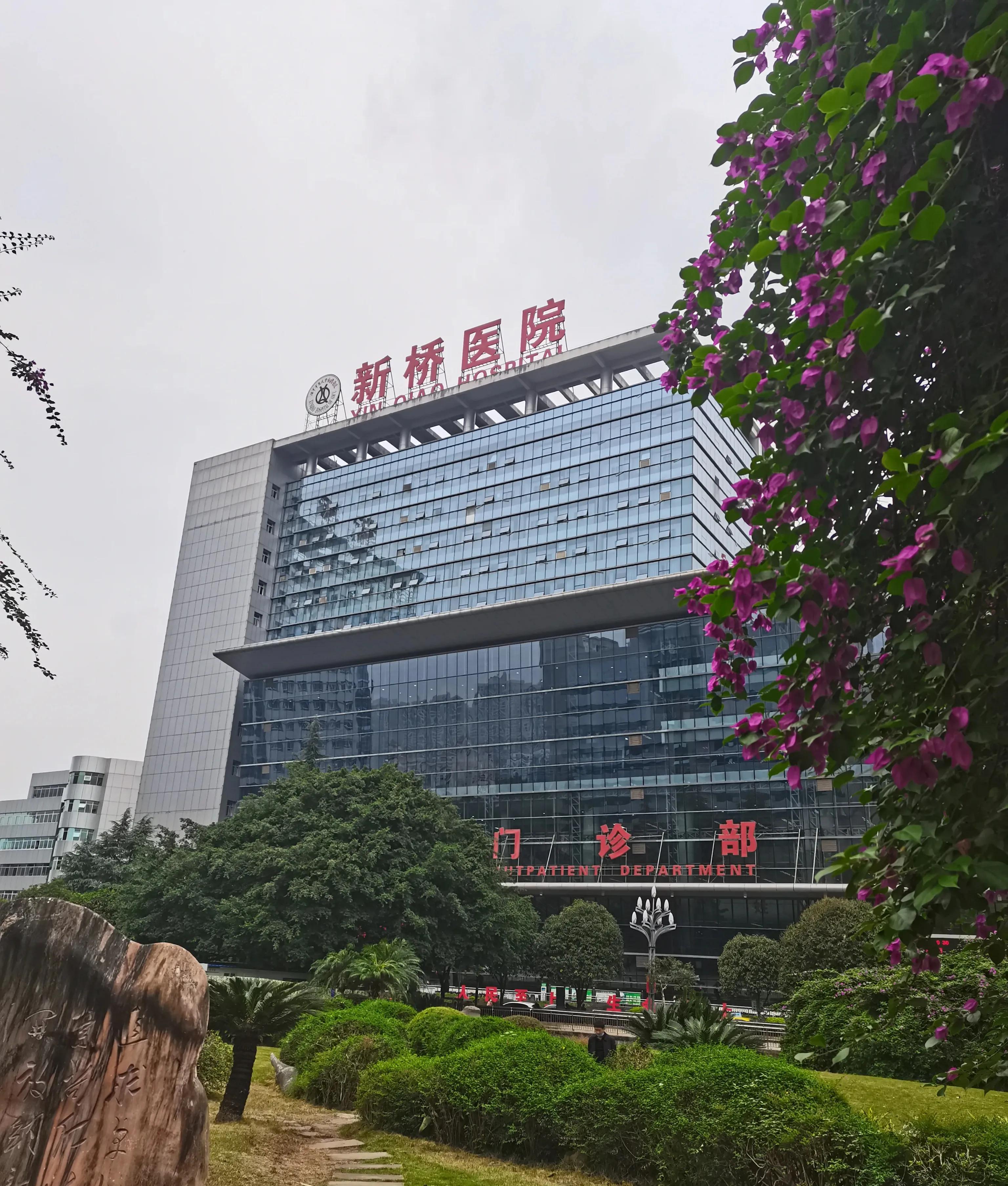 重庆医疗有多强！重庆医科大学保底，军医大学拔尖，顶级医院帮扶