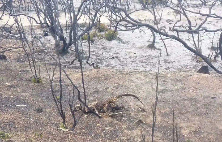 65岁阿姨离婚抑郁症后骑行世界,65岁阿姨离婚后抑郁骑行世界