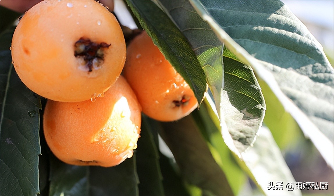 最适合秋季吃的应季水果,入夏的食物