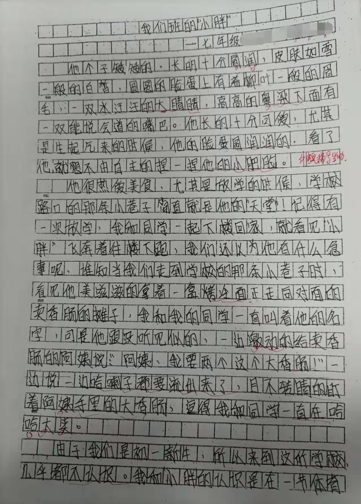 写人要抓住特征——学生作文精选之我的同学