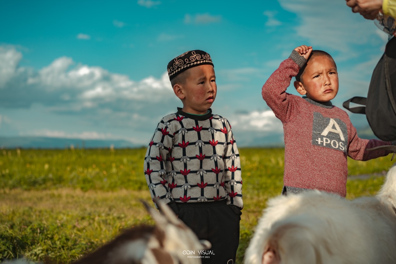 去新疆发现伊犁的美,世界之美尽在伊犁