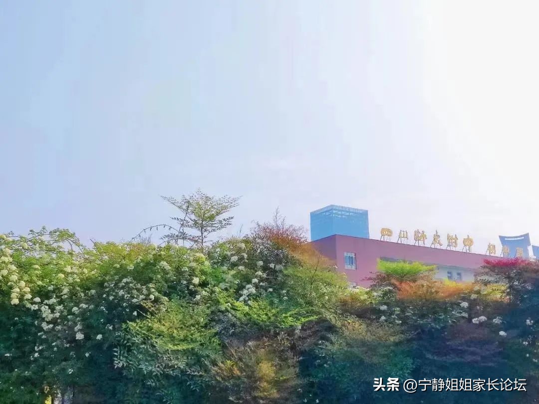 四川川师附中高中部怎么样,川附高中部