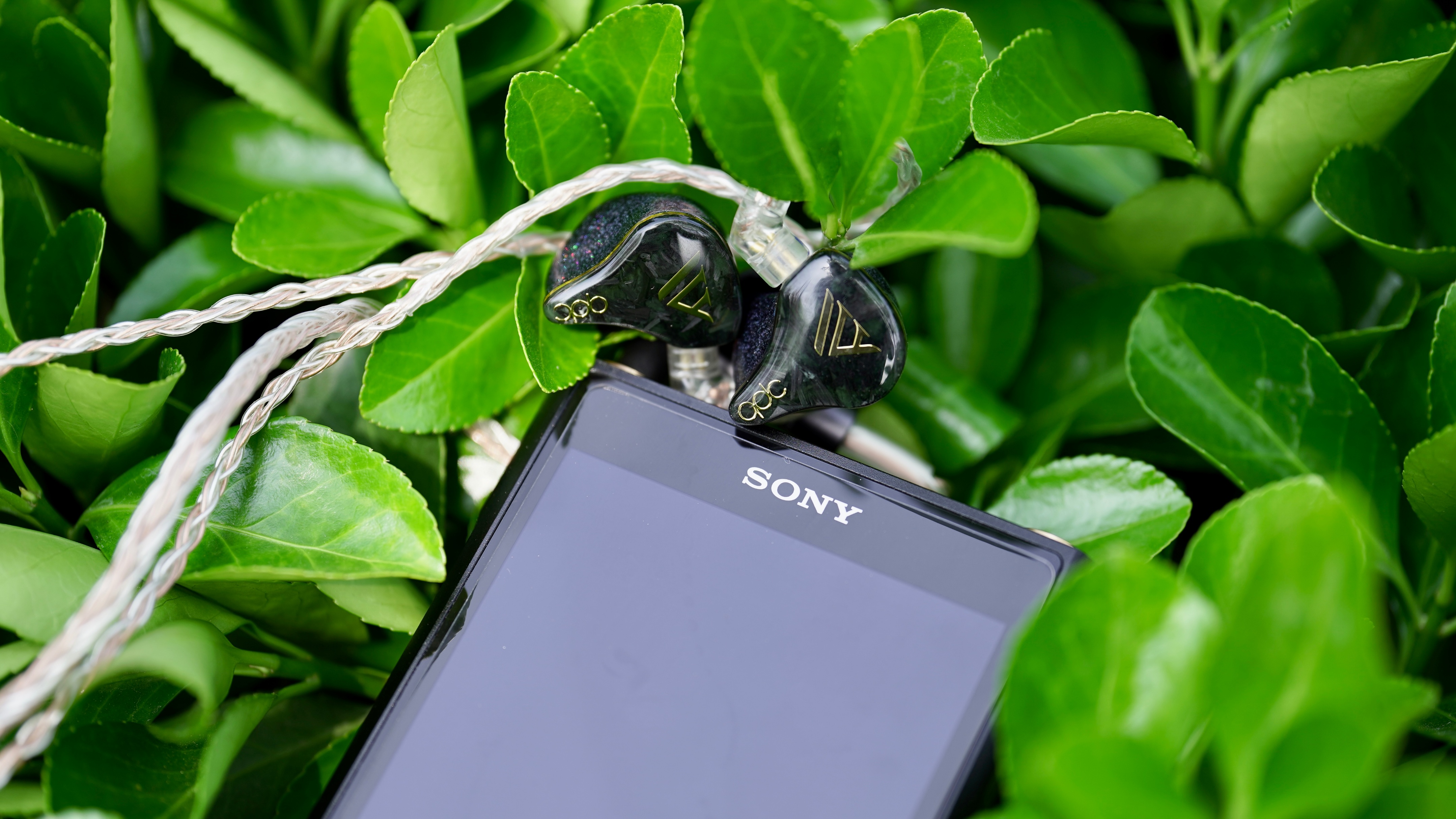 索尼walkmanwm2,索尼wm1zm2使用说明