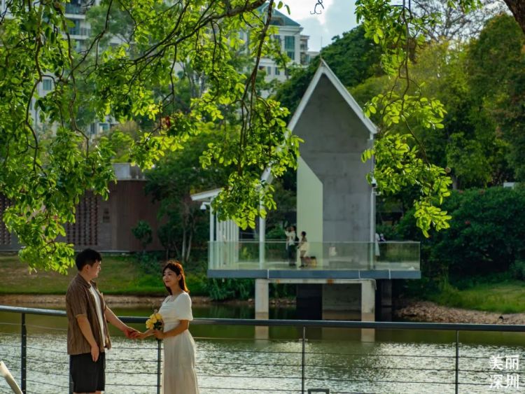 深圳公园的故事｜先锋实践，甜蜜家园——香蜜公园