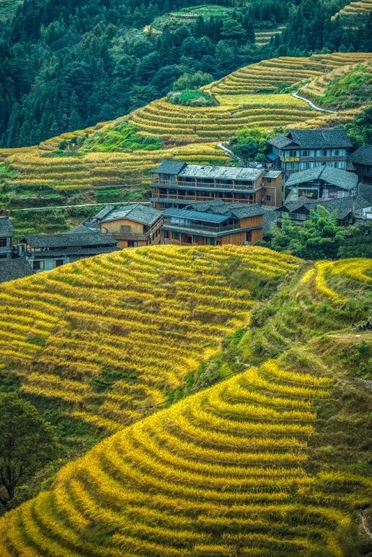 佳能eosr最新固件1.8更新,和摄影师互动的问题