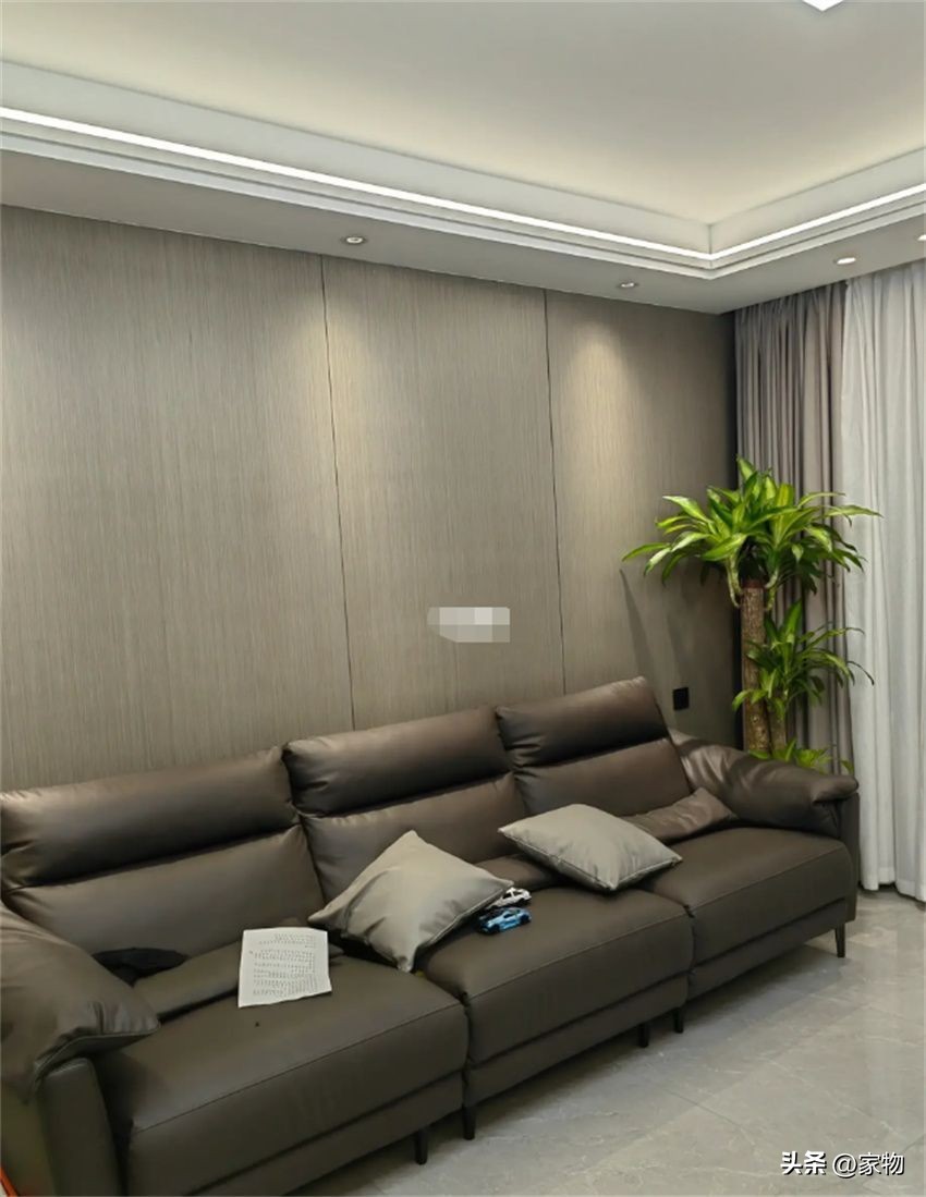 什么树放在客厅最好运,家里客厅禁忌放什么绿植树