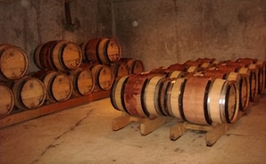 除了姆巴佩和哈兰德还有谁,柏图斯和康帝哪个好