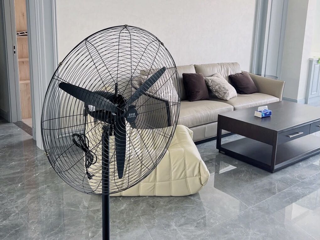 家具怎么快速去除甲醛异味,洋葱可以去除家具异味吗