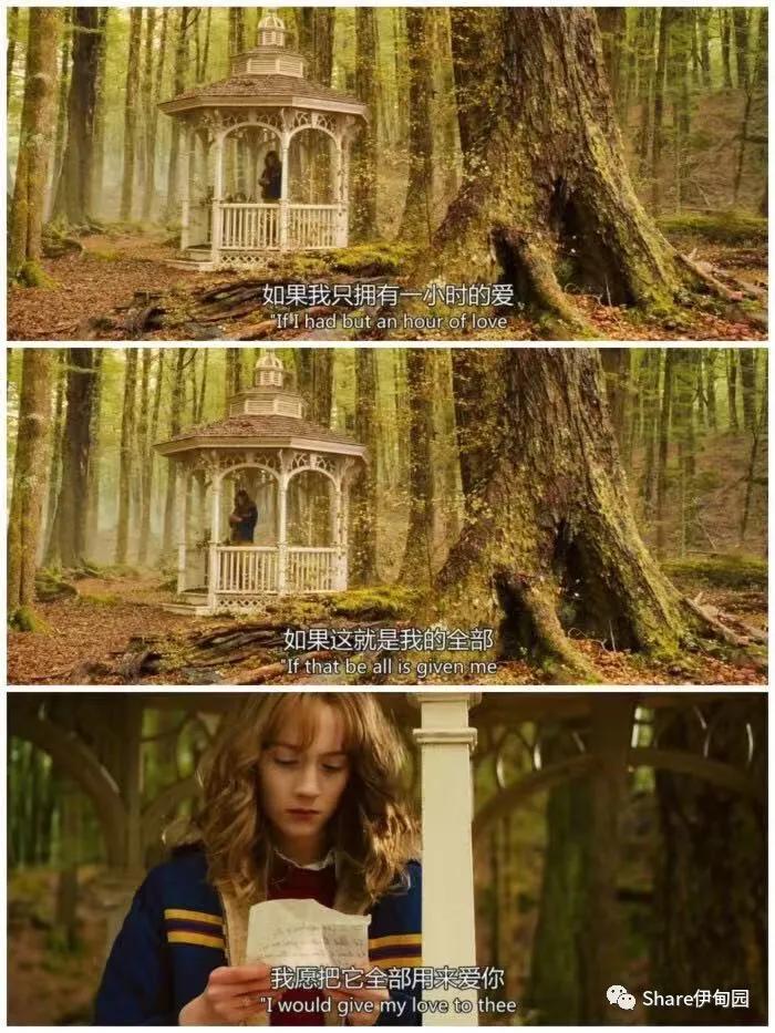 可爱的骨头英语版,可爱的骨头