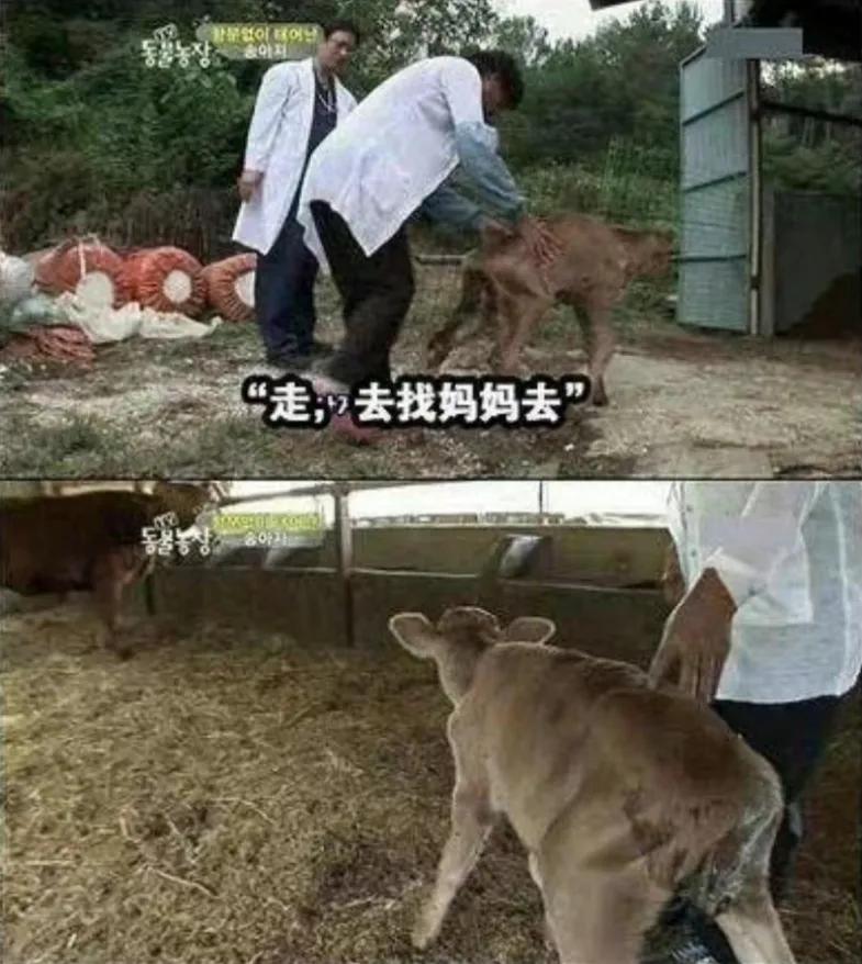 出生时没有肛门，有人却说要养他一辈子