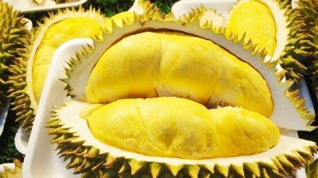 泰国订单最新消息,中国和泰国签下的订单