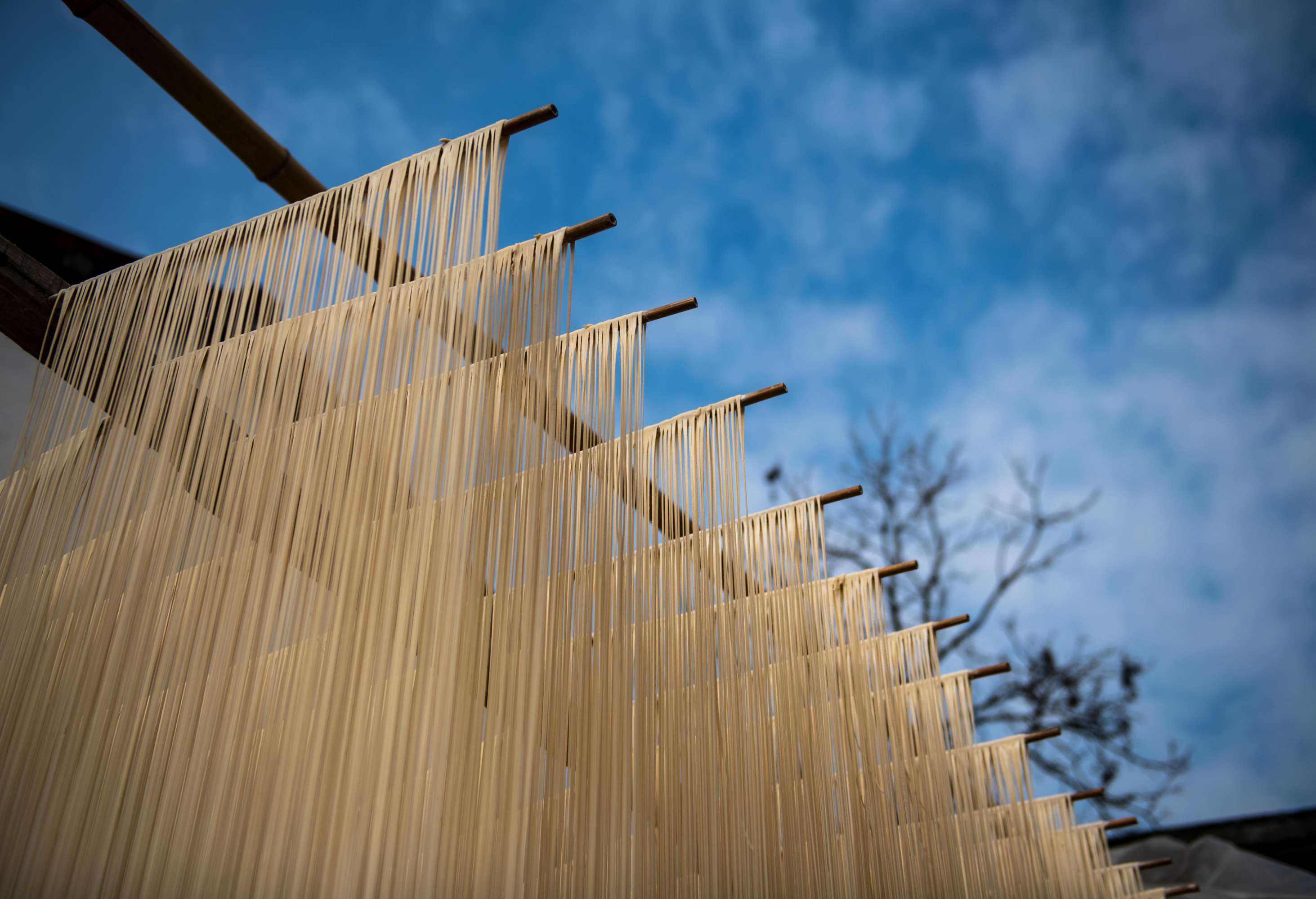 挂面烘干加温机,泰立信小型除湿机