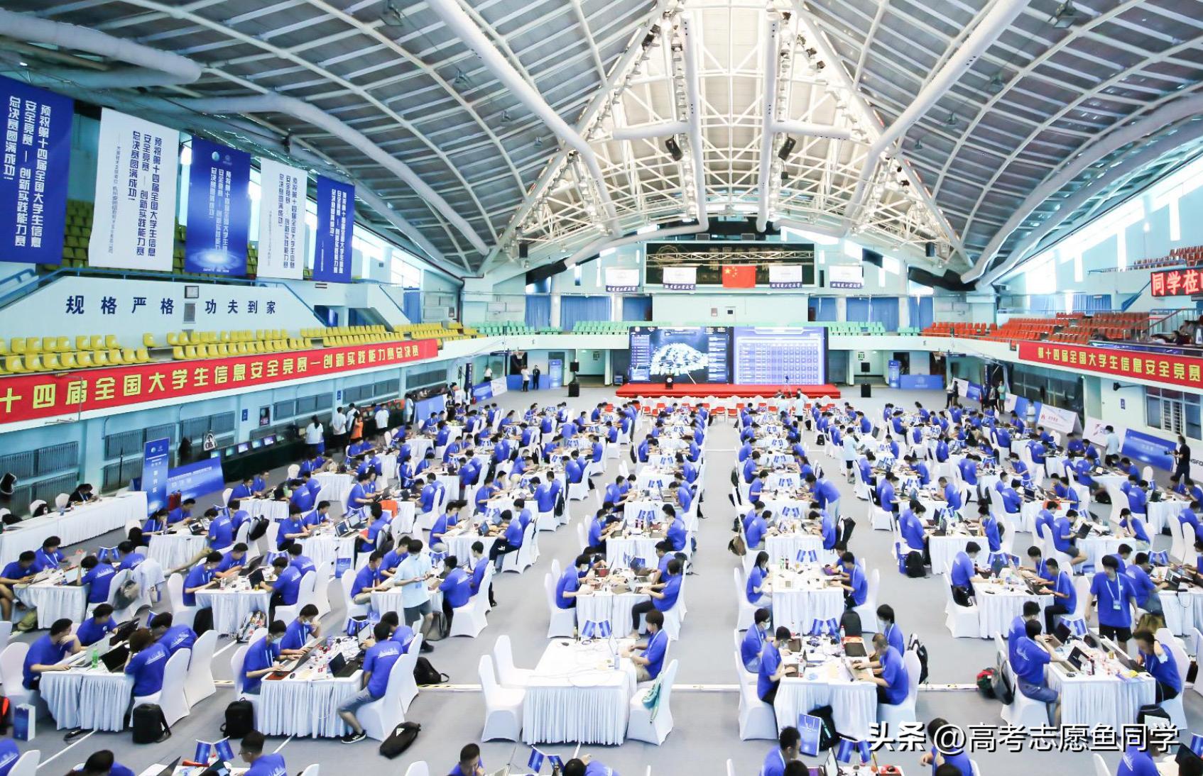 本科女孩子就业前景好的十大专业,适合理科女生报考的热门高薪专业