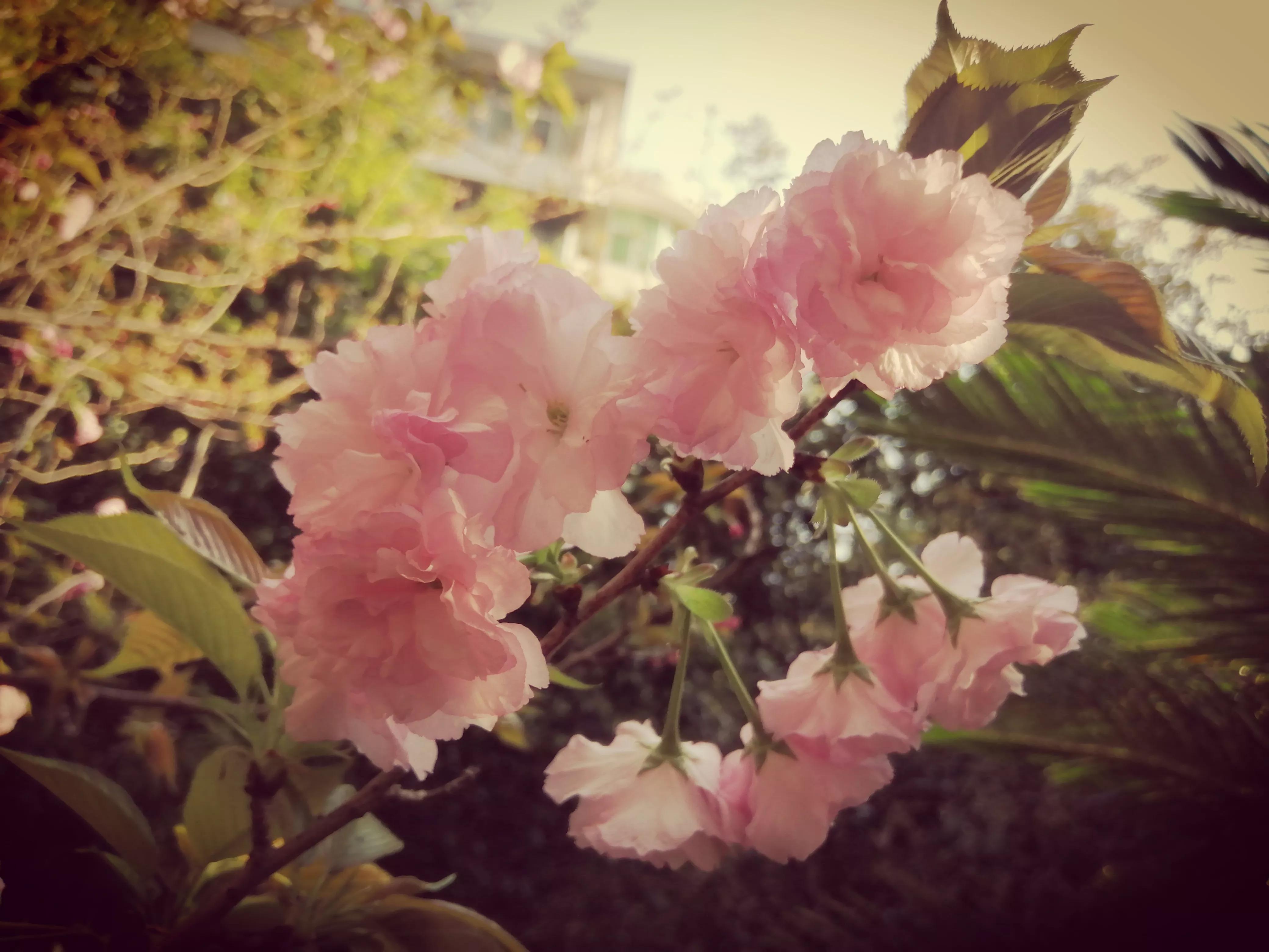 想不通的事情选择放下,想不通的事情暂时放下没事吧