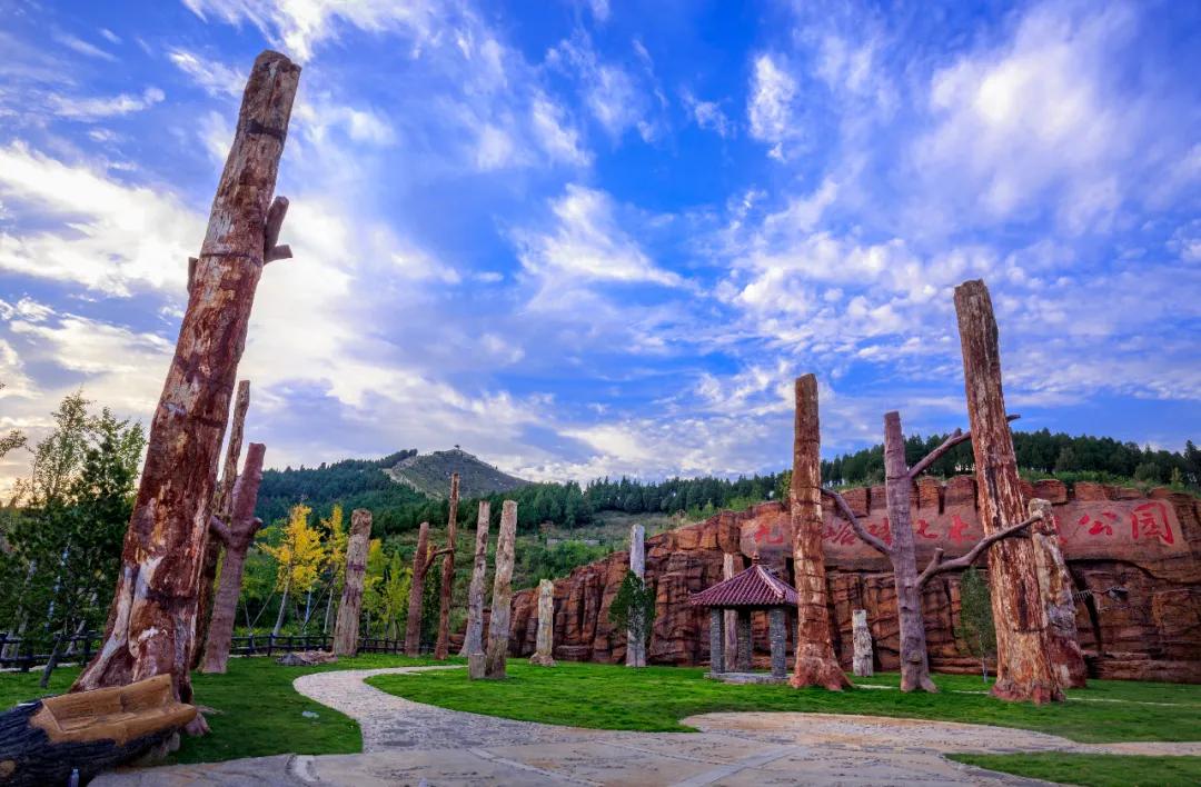 西安大唐不夜城网红风景,大唐不夜城网红景区