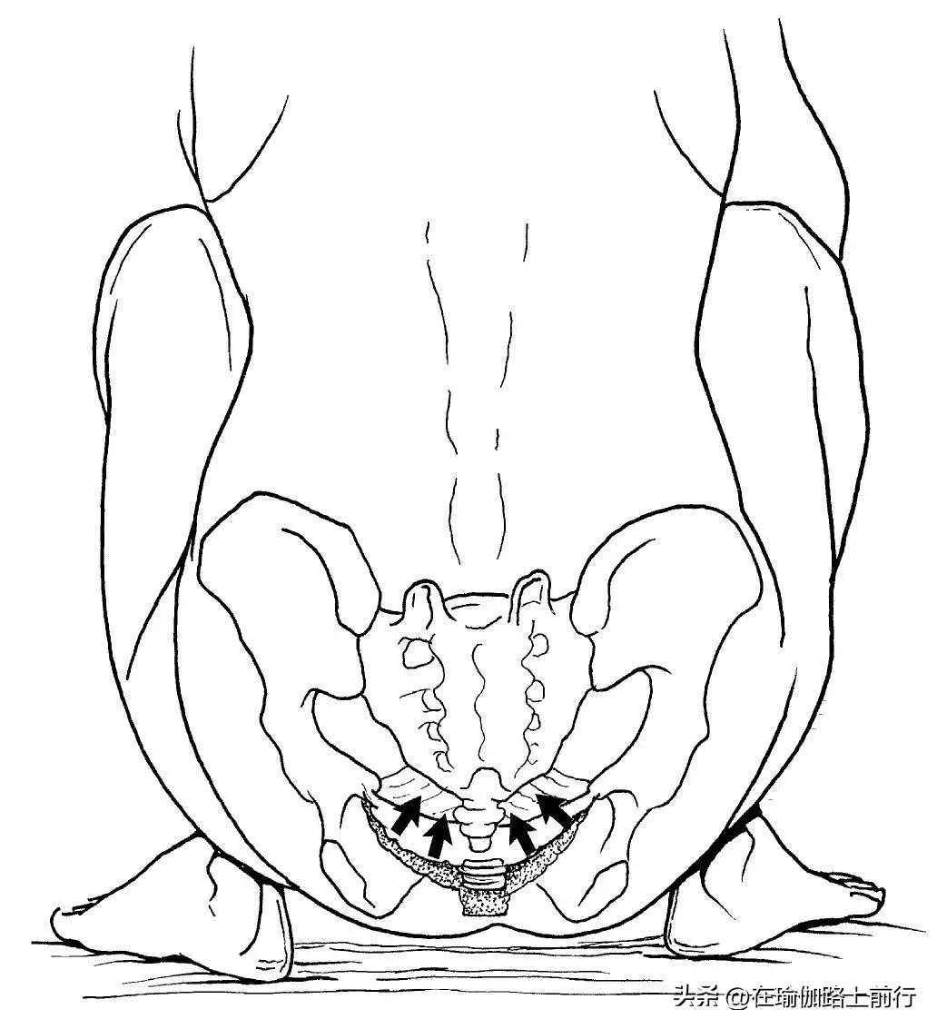 孕产瑜伽解剖,孕产瑜伽26个体式图