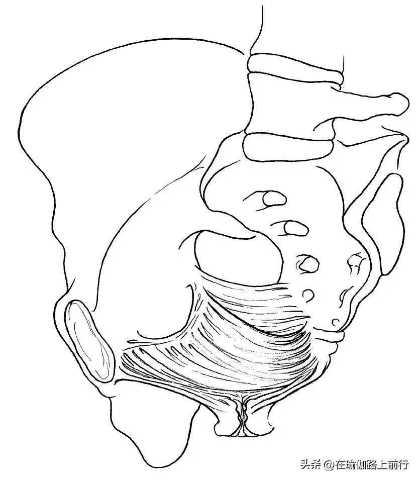 孕产瑜伽品牌,孕产瑜伽普拉提教练培训