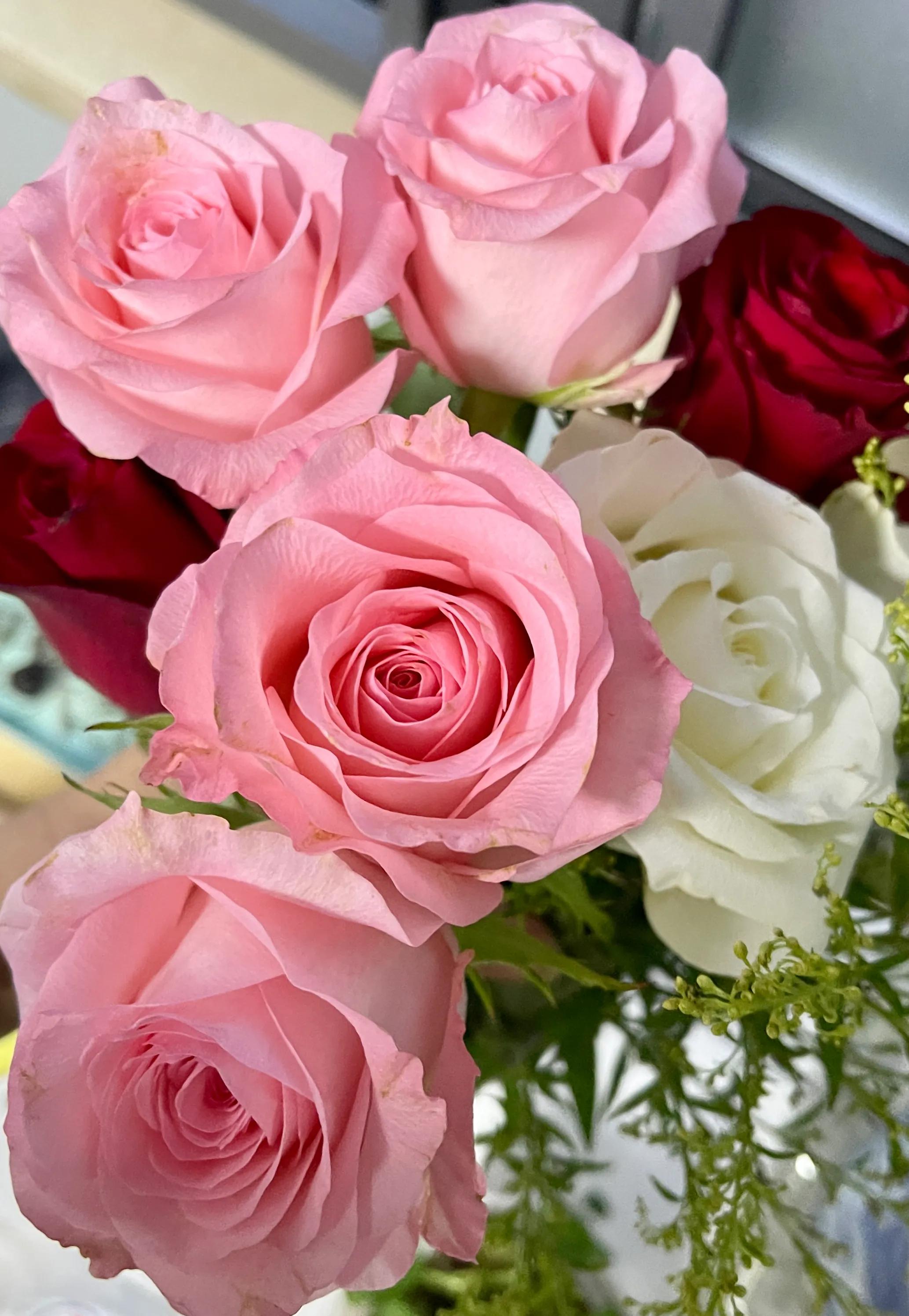 港澳通行证预订,往来港澳通行证可以在网上购票吗