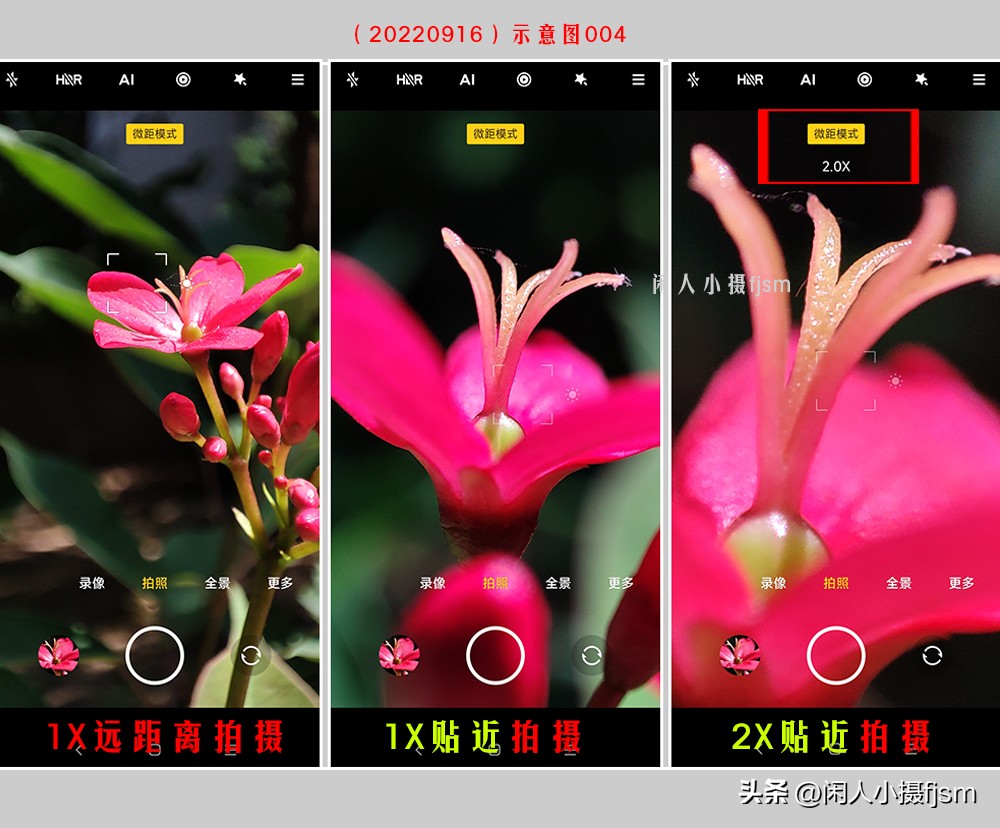 微距摄影就是近距离拍摄微小物体,微距摄影和近距离摄影有区别吗