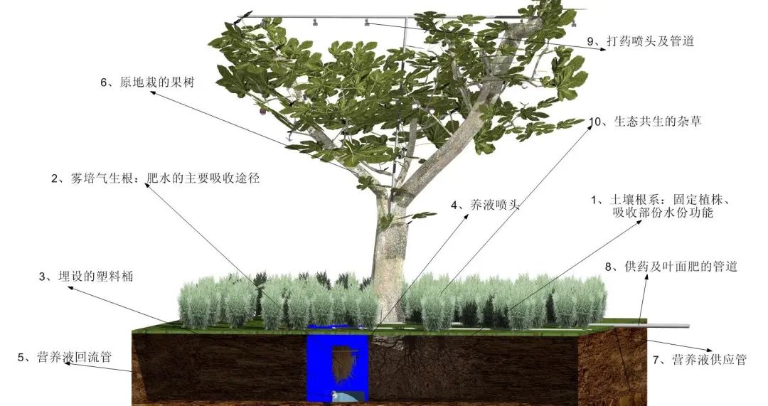 雾培蔬菜种植技术视频,在家水培蔬菜水果种植技术