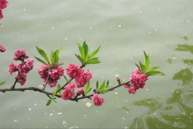 写雨的古诗词名句并作简要赏析,写雨的古诗句及赏析