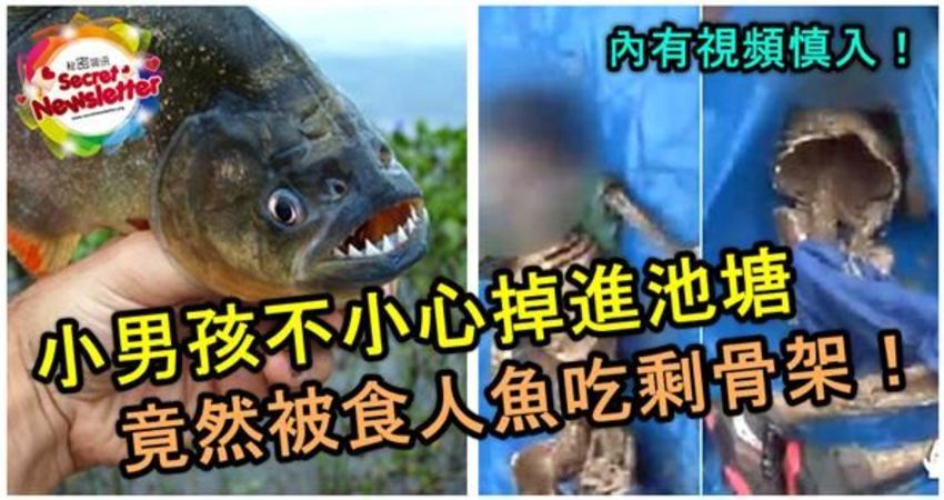 巴西一球员遭食人鱼啃食,巴西球员被食人鱼吃剩骨架