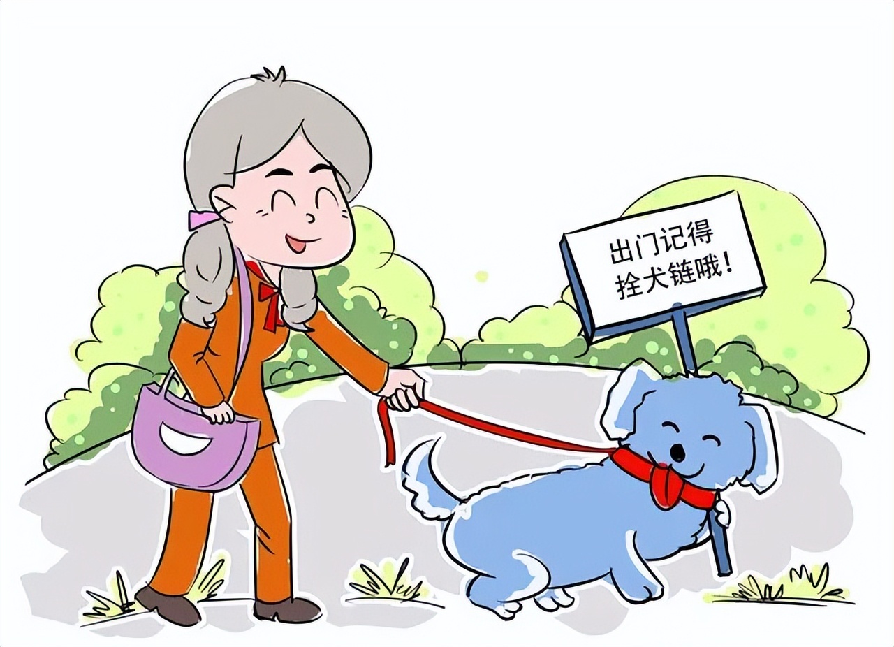 【民小检爱普法】大学生遛狗,主打一个信任?