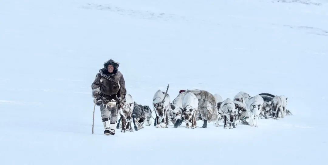 俄罗斯到底有多冷搞笑版,俄罗斯有多冷科普