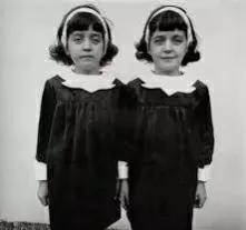 门格勒双胞胎,门格勒双胞胎实验