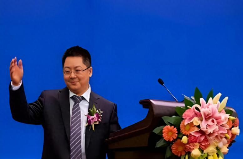 把公司当后宫，敛财700亿缅北有私人*队军**，e租宝丁宁为何这么狂？