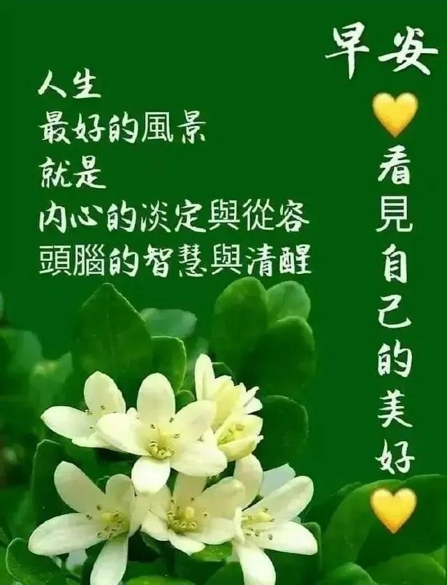 发朋友圈早上好的图片和祝福语,早上好祝福语朋友圈带字图片