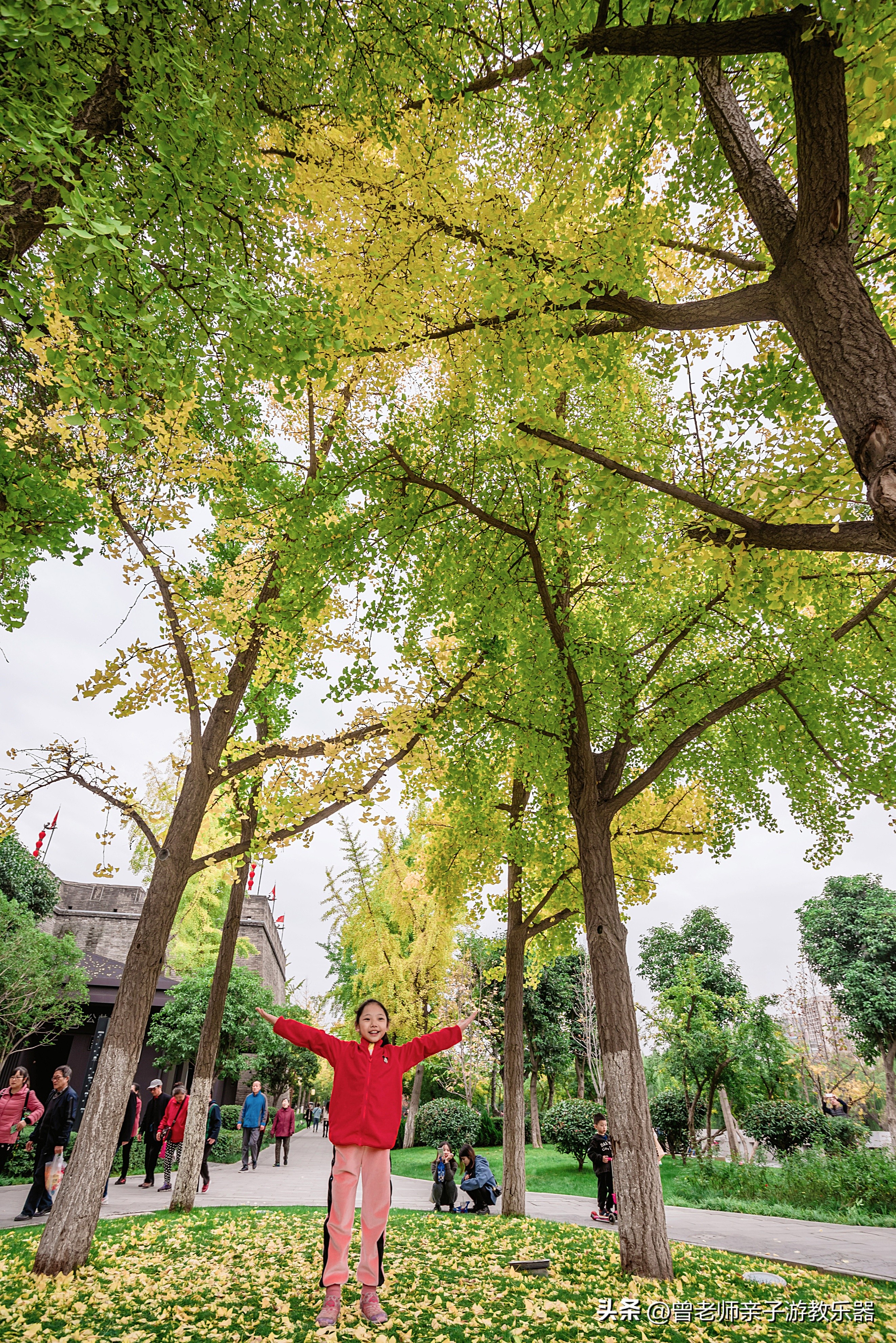 西安旅游攻略必去10个景点,西安旅游攻略必去景区