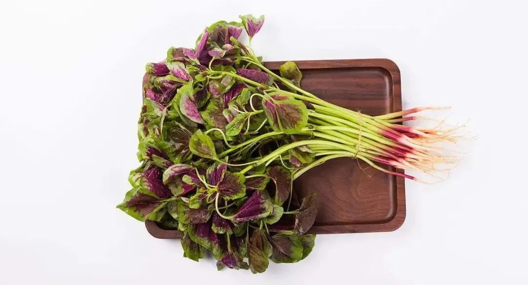 浙江人常吃的蔬菜有哪些,幼儿园常吃的蔬菜有哪些