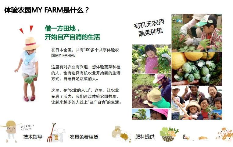 1.5亩地收入却高达19万，这个“共享农场”如何做到的？