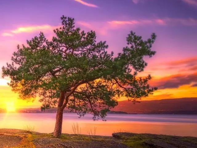 被骗的案例故事,一个被骗的故事