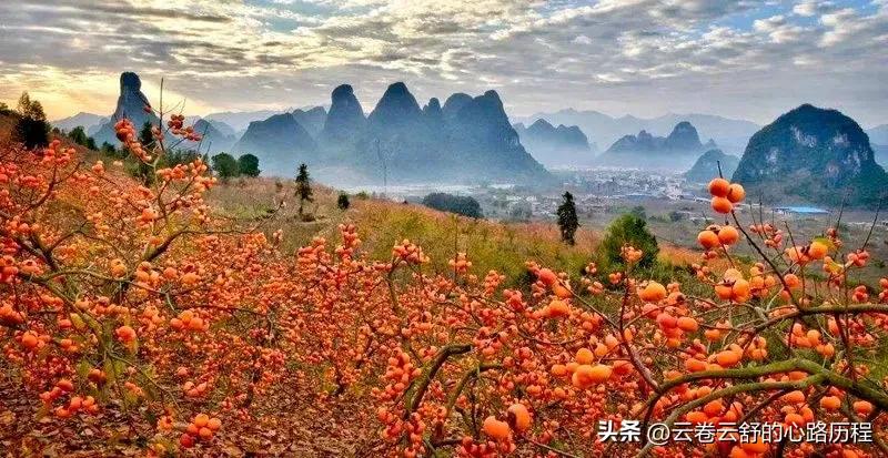 云上的小店让人振奋，妹夫准备在农村自主创业，振兴新农村经济！