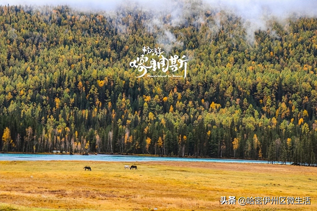 乌鲁木齐航空开通兰州飞芭提雅,乌鲁木齐航空开通香港直飞航线