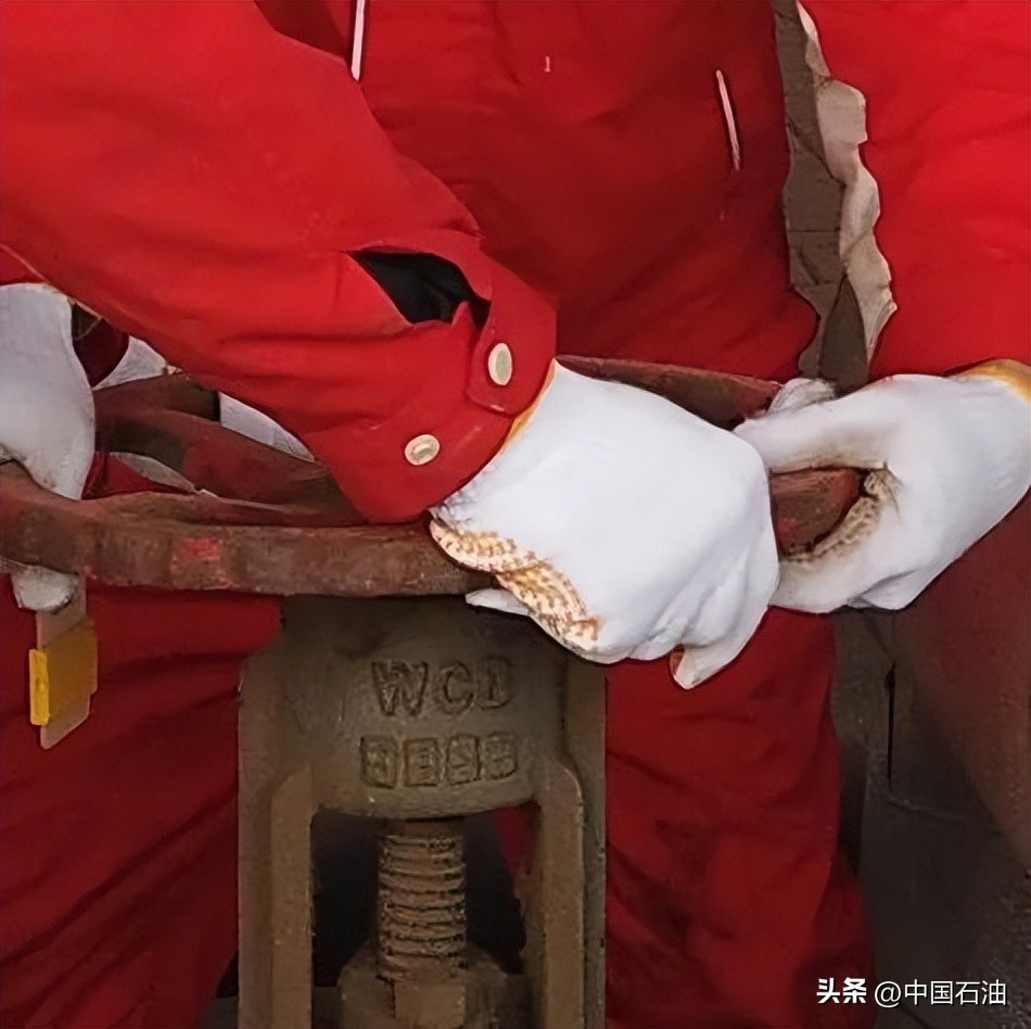 特别策划案例,特别策划系列