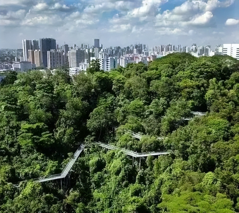 你不知道的国家冷知识德国篇,你不知道的国家冷知识英国