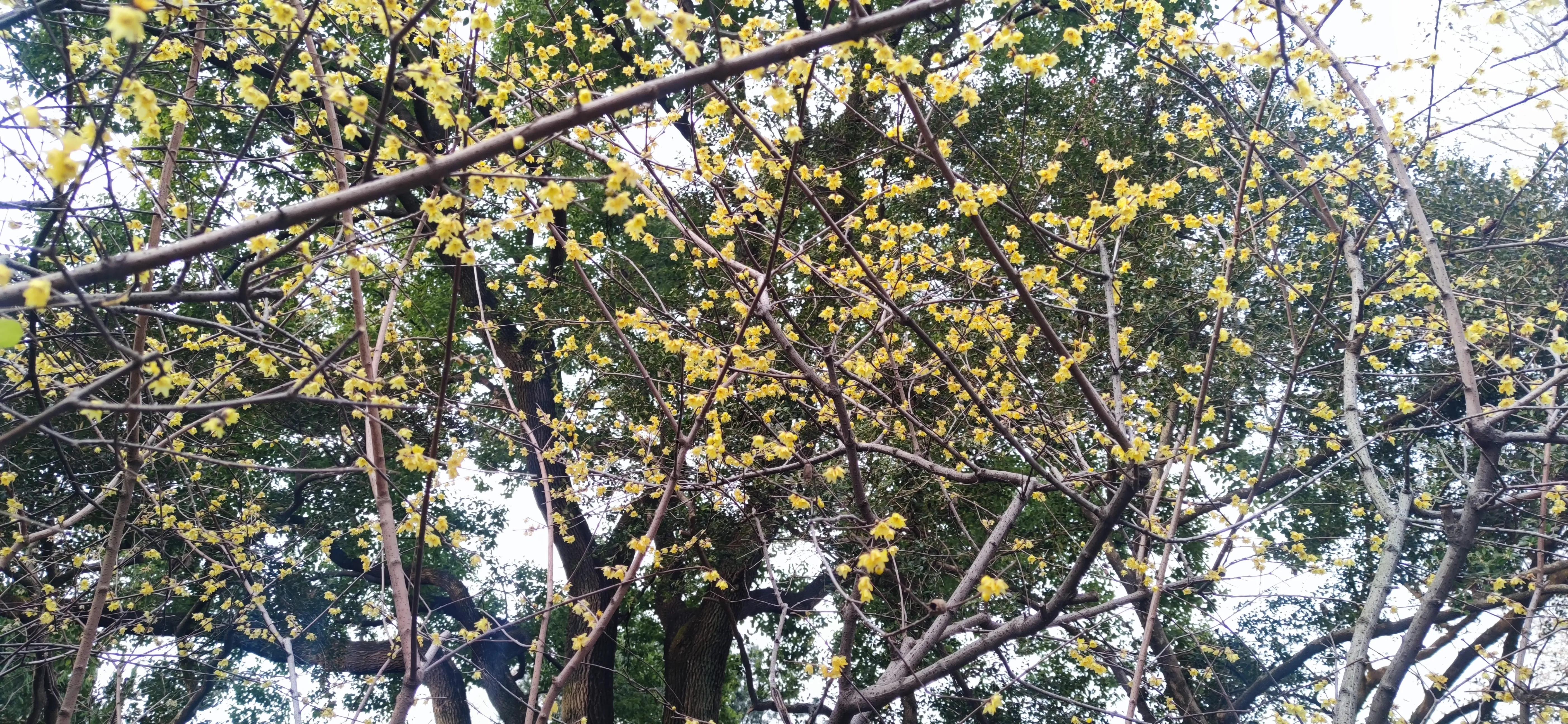 周末的鲁迅公园,鲁迅公园半日游攻略路线