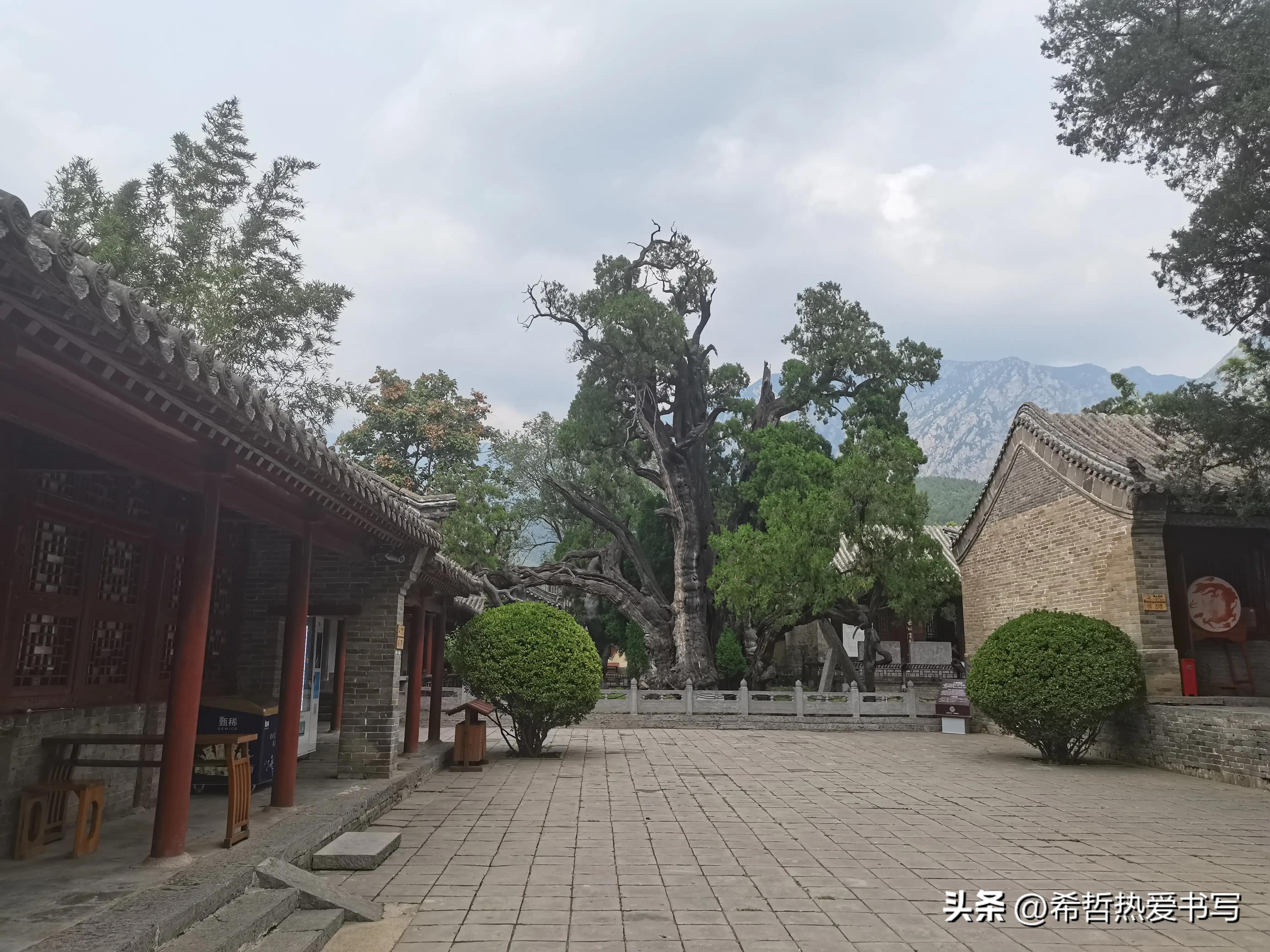 中国四大书院之一嵩阳书院,嵩阳书院应天书院和白鹿洞书院