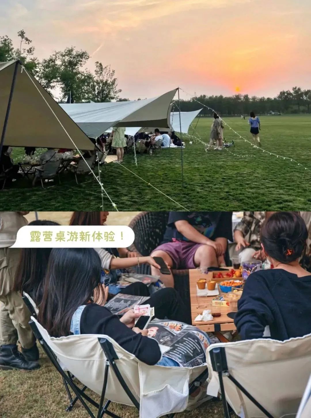 东营森林公园露营节,东营露营节