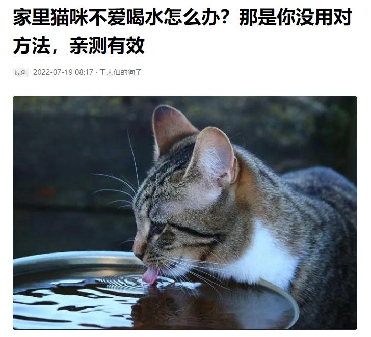 猫咪尿血医生一般怎么检查,猫咪尿血最快的药